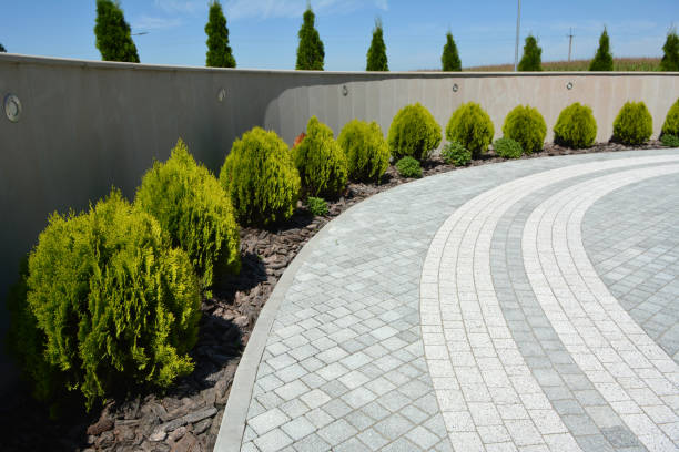 Best Residential Paver Driveway  in Arlington, VA